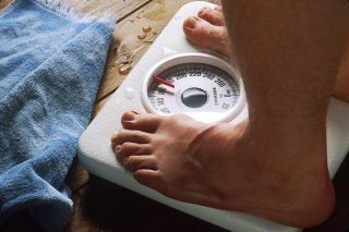 Obezita Mýtus David Bedrick